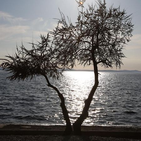 Villa Punta Zadar Ngoại thất bức ảnh