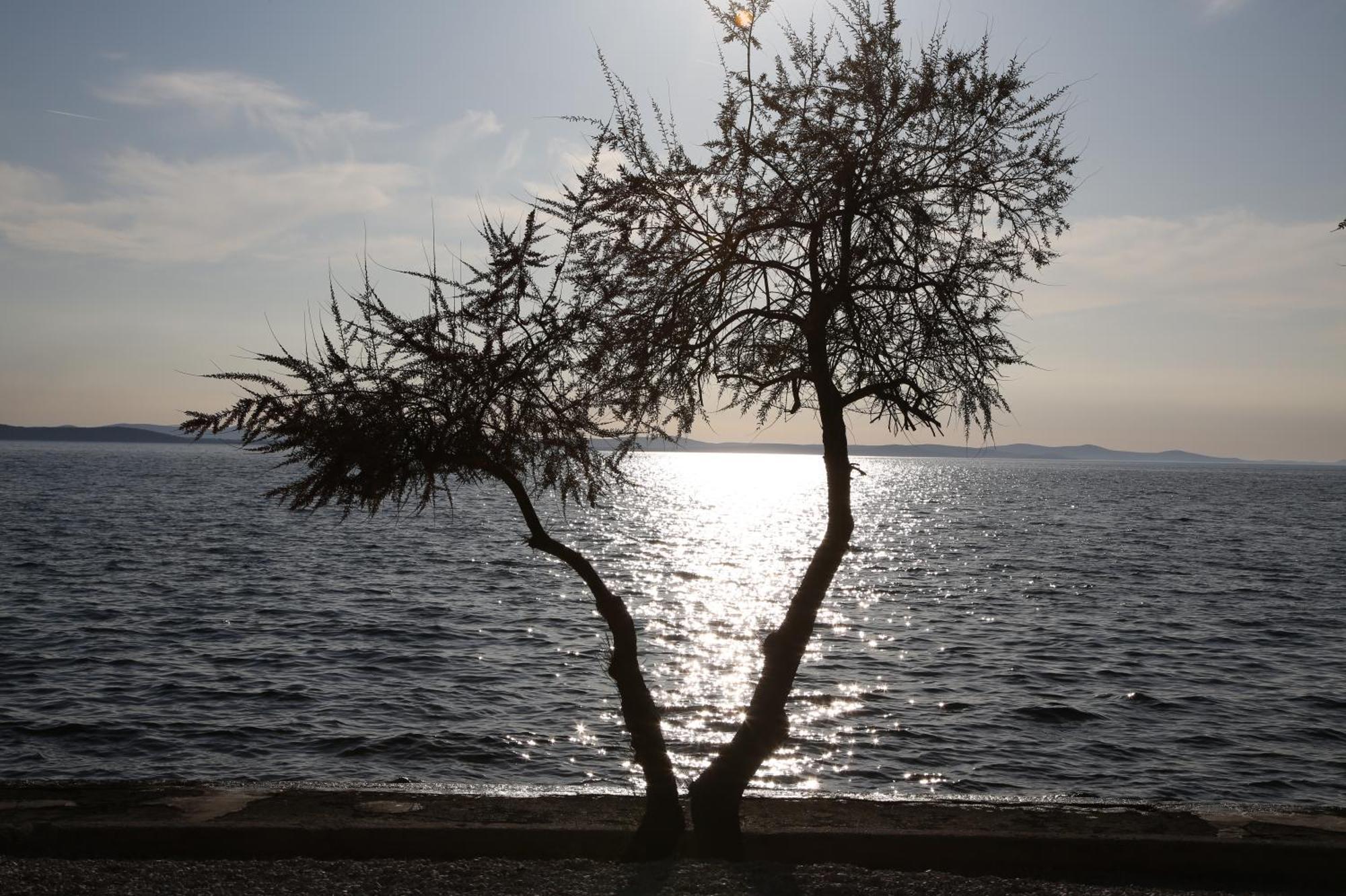 Villa Punta Zadar Ngoại thất bức ảnh